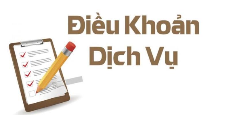 Lưu ý quan trọng khi tuân thủ theo điều khoản và dịch vụ